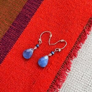Blue Beaded Dangle Earrings